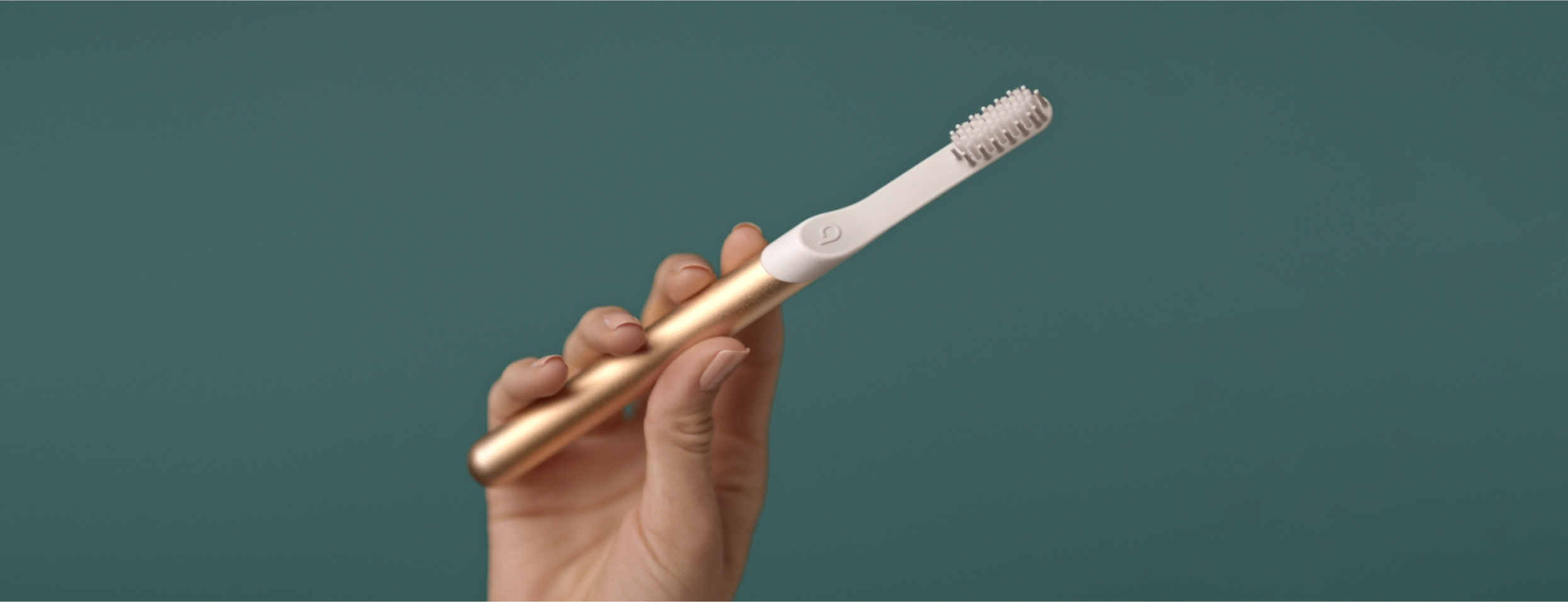 quip Blog How to keep your brush healthy