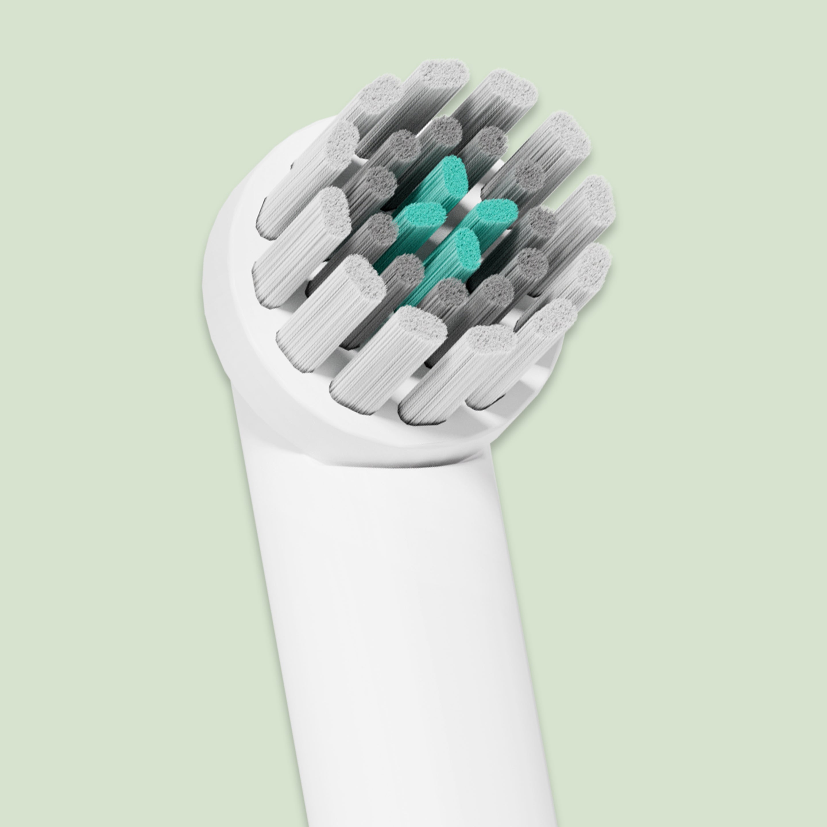 Close up of quip Rev oscillating toothbrush head