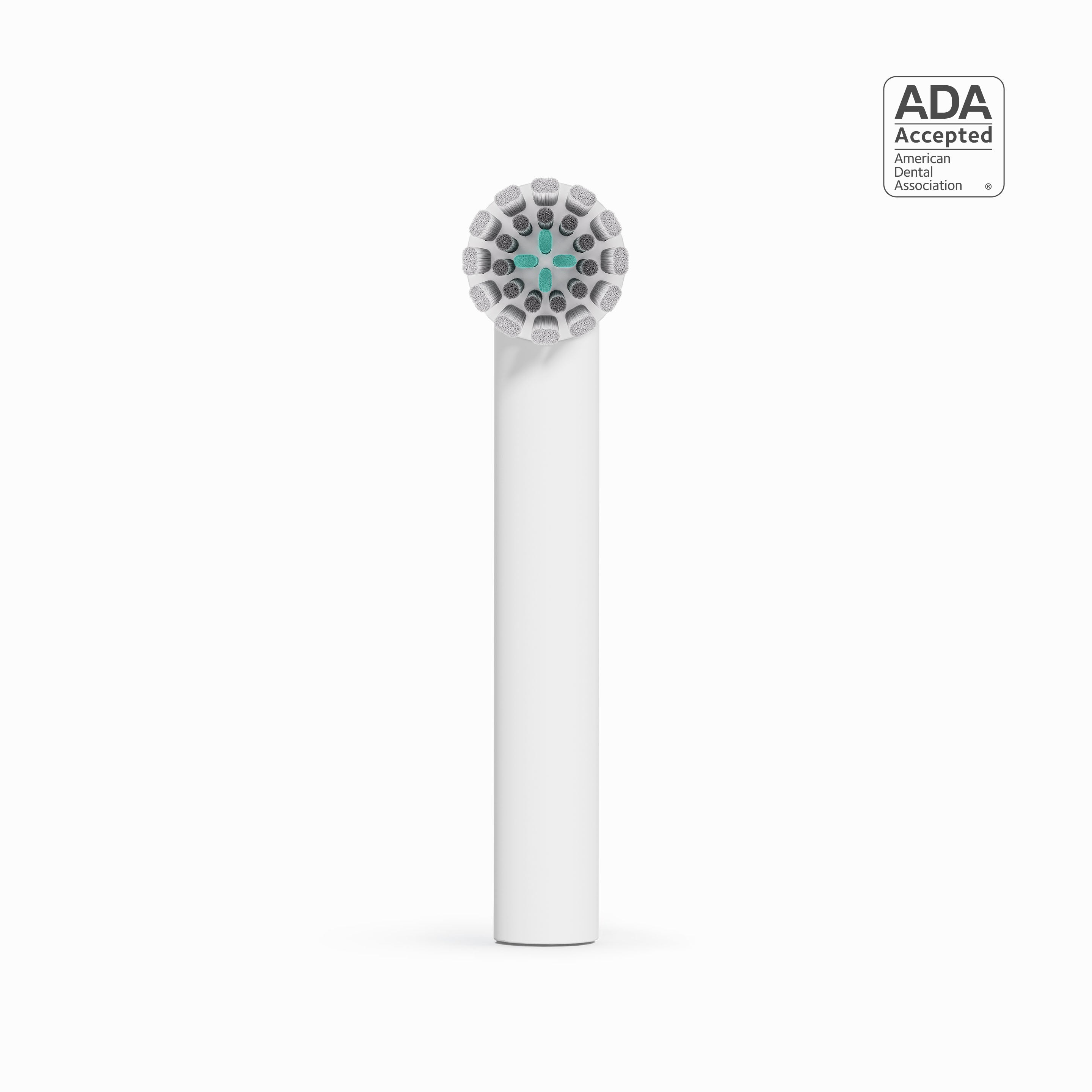 A close-up shot of a white quip Rev Brush head refill, with the ADA Accepted logo in the top right corner.