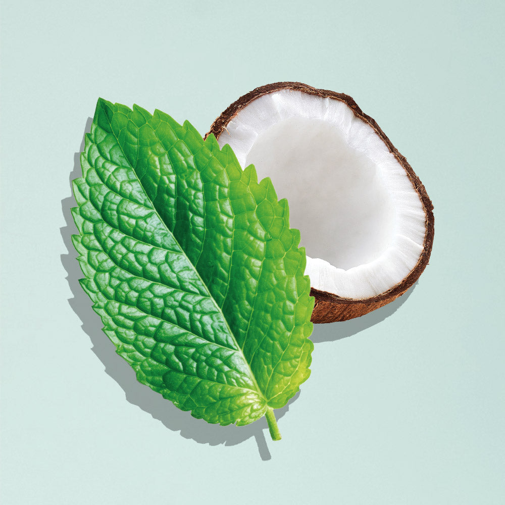 Coconut half and a green leaf on a light blue background