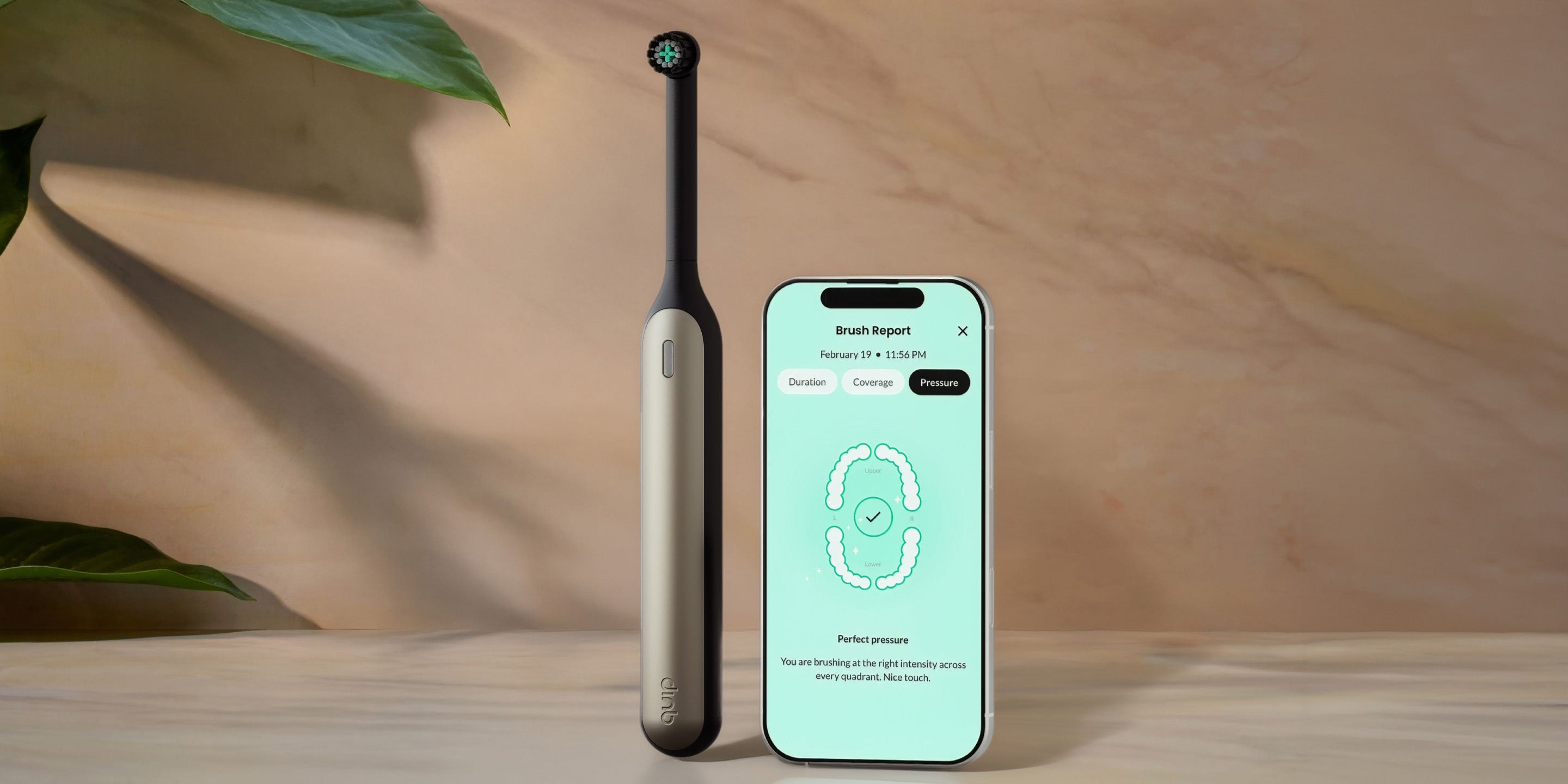 How to use the quip app with Rev Smart Oscillating Electric Toothbrush