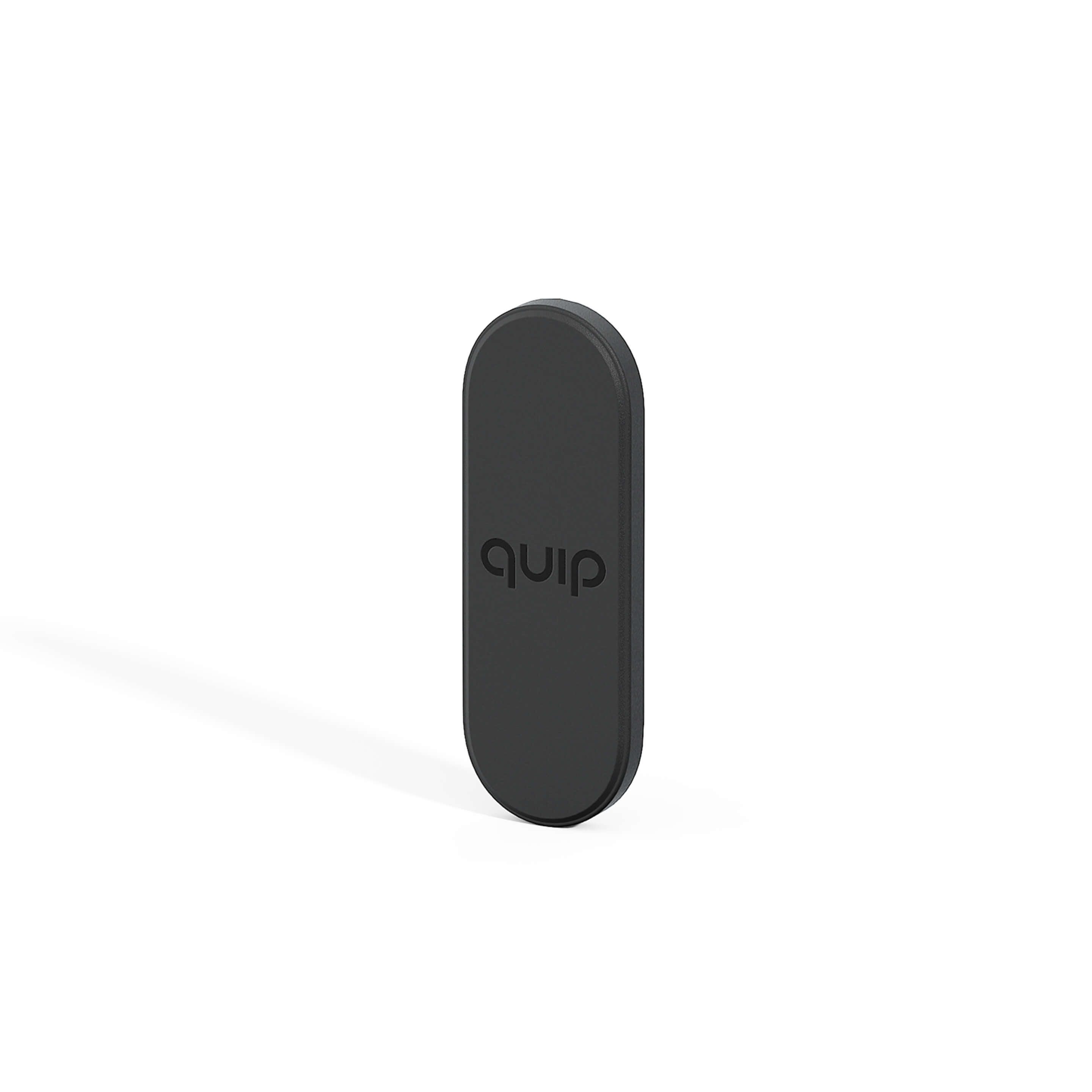 quip Mirror Mount