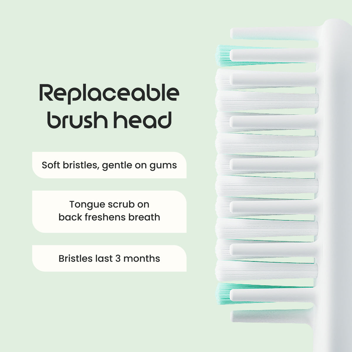 Close-up of a replaceable toothbrush head with soft white bristles and mint green tips on a pale green background, with text describing brush head benefits.