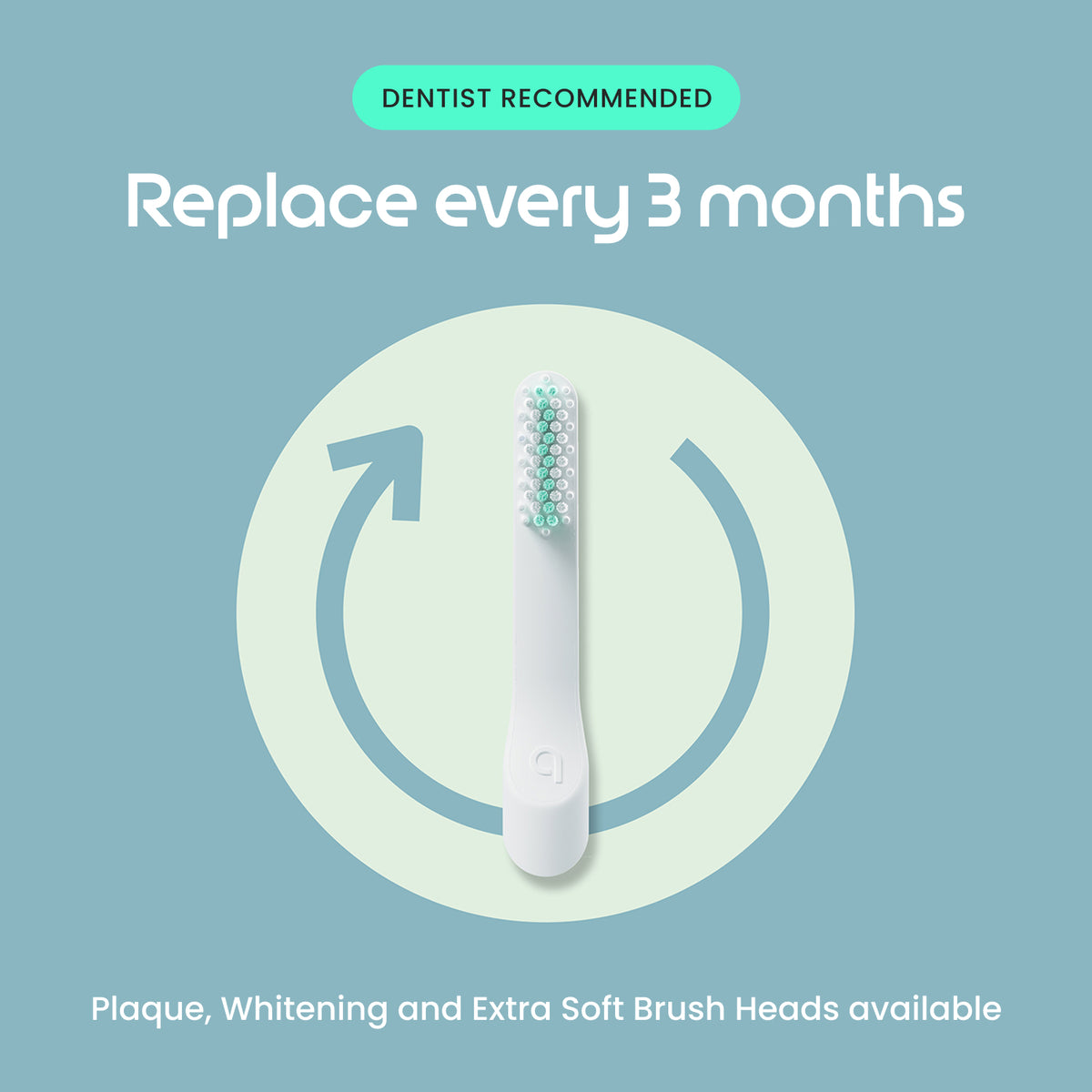 A replacement electric toothbrush brush head centered on a light blue background with promotional text reading 'DENTIST RECOMMENDED' and 'Replace every 3 months.' The brush head is white with mint-green bristles, and a circular arrow graphic surrounds it.