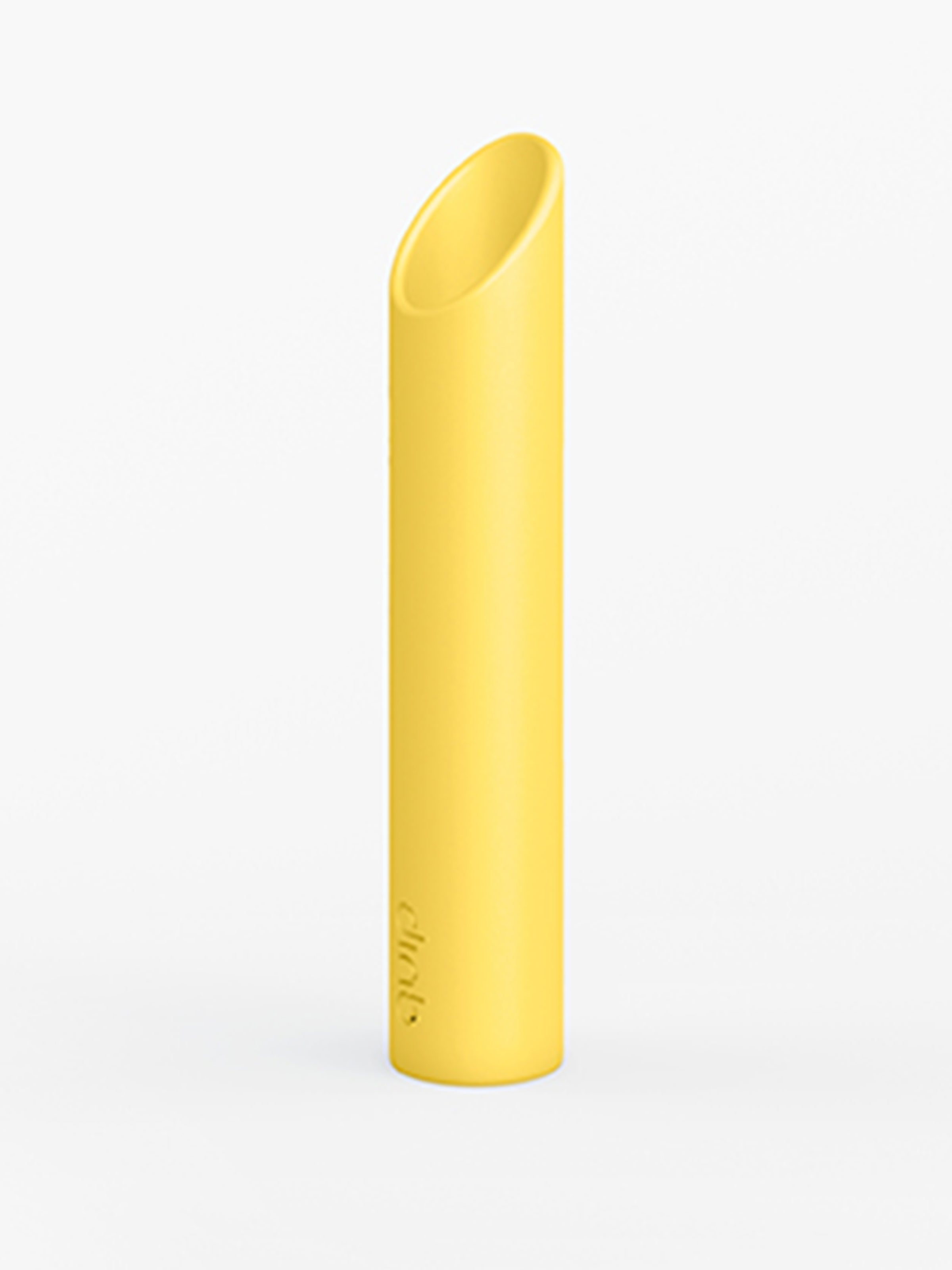 quip Travel Cover Mount for Sonic Brush